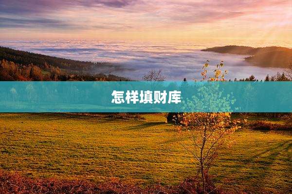 怎样填财库