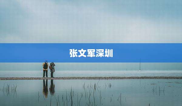 张文军深圳