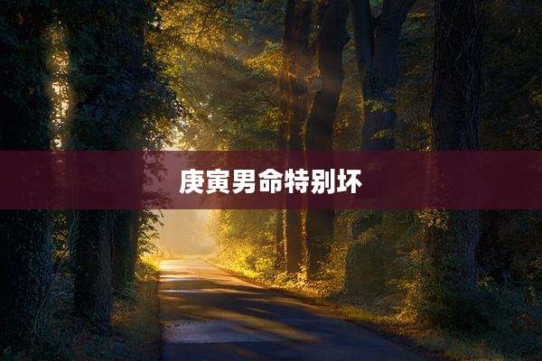 庚寅男命特别坏