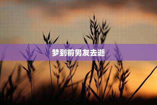 梦到前男友去逝