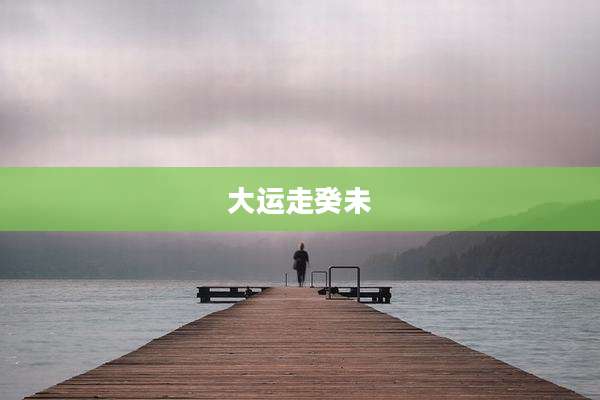 大运走癸未