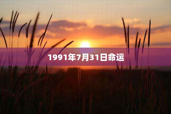 1991年7月31日命运