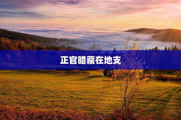 正官暗藏在地支