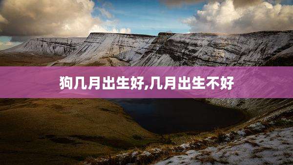 狗几月出生好,几月出生不好