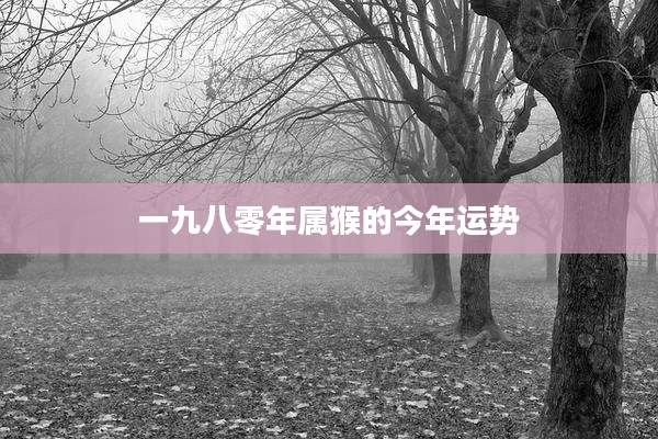 一九八零年属猴的今年运势