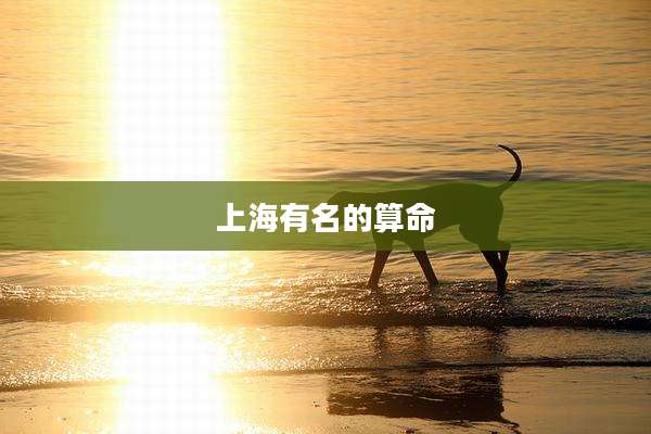 上海有名的算命