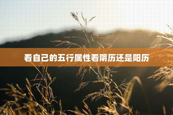 看自己的五行属性看阴历还是阳历