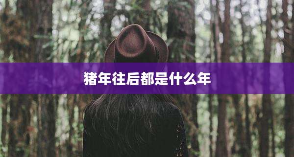 猪年往后都是什么年