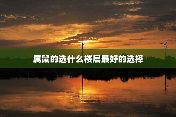 属鼠的选什么楼层最好的选择