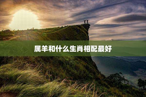 属羊和什么生肖相配最好