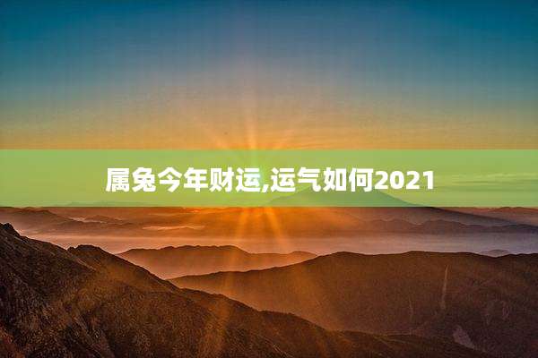 属兔今年财运,运气如何2021