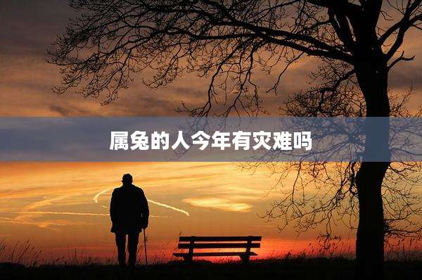 属兔的人今年有灾难吗