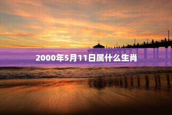 2000年5月11日属什么生肖