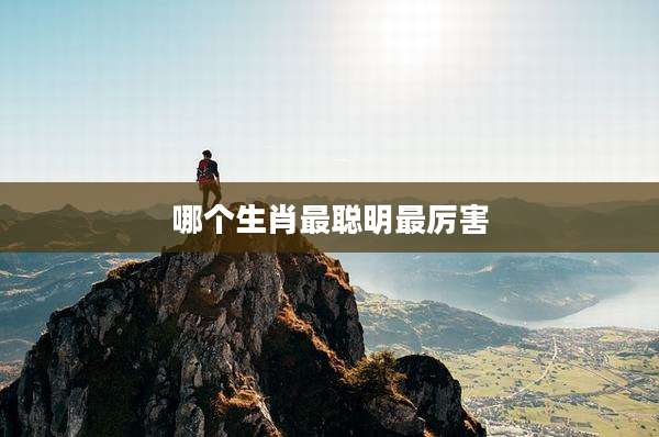 哪个生肖最聪明最厉害
