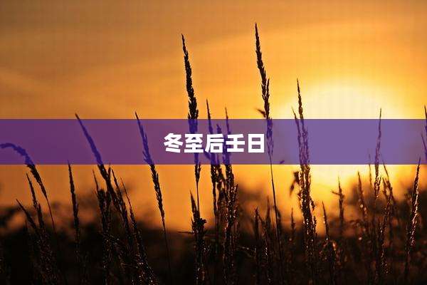 冬至后壬日