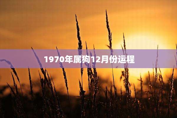 1970年属狗12月份运程