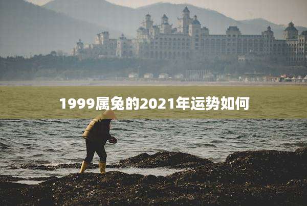 1999属兔的2021年运势如何