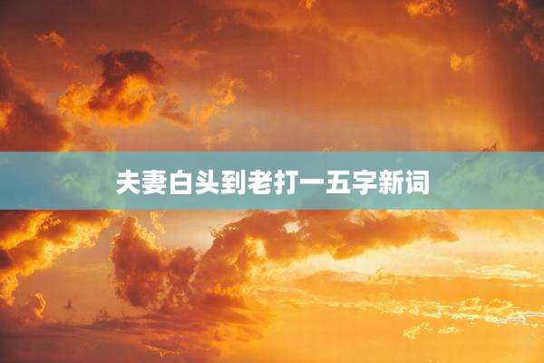 夫妻白头到老打一五字新词