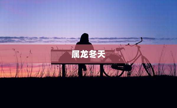 属龙冬天