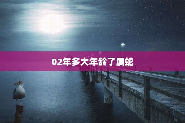02年多大年龄了属蛇