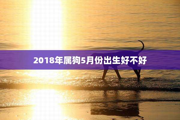 2018年属狗5月份出生好不好