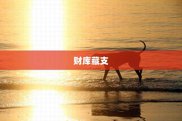 财库藏支