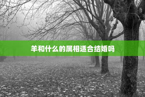 羊和什么的属相适合结婚吗