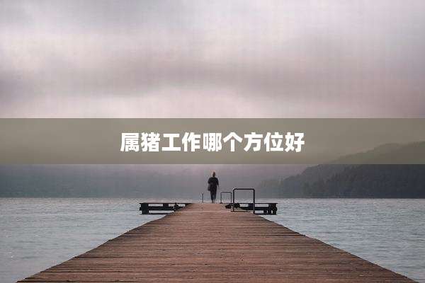 属猪工作哪个方位好