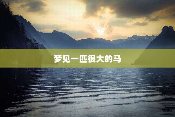梦见一匹很大的马