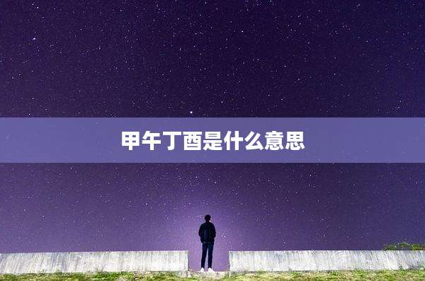 甲午丁酉是什么意思