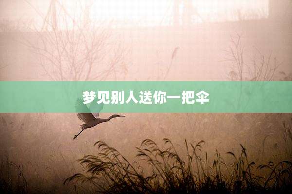 梦见别人送你一把伞