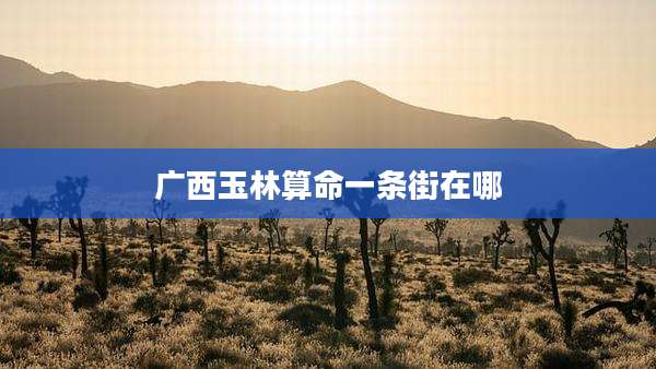 广西玉林算命一条街在哪