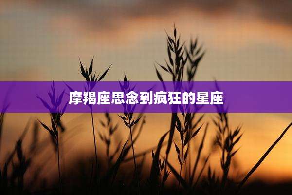 摩羯座思念到疯狂的星座