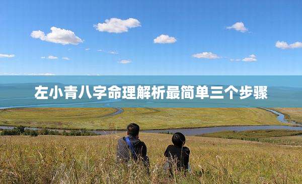 左小青八字命理解析最简单三个步骤