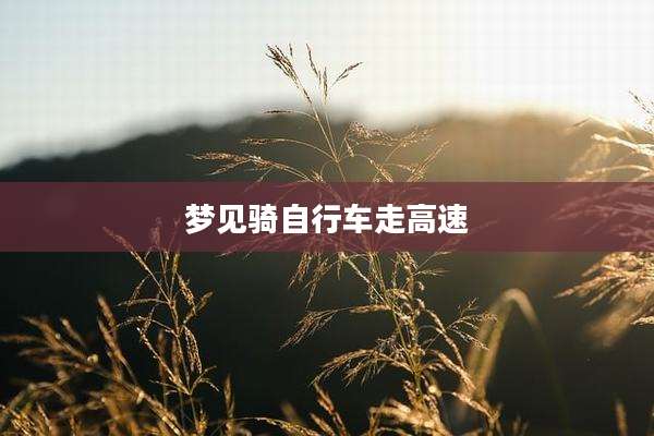 梦见骑自行车走高速
