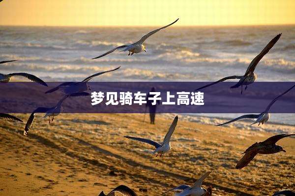 梦见骑车子上高速