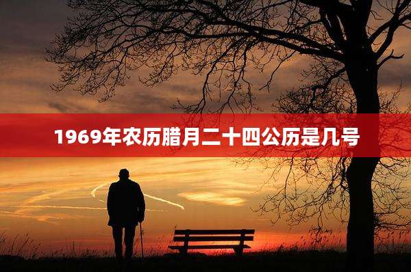 1969年农历腊月二十四公历是几号
