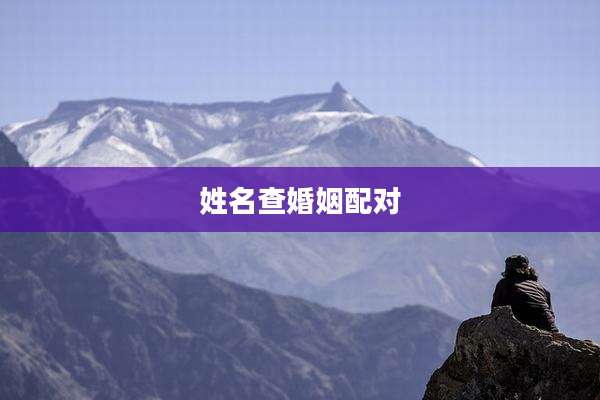 姓名查婚姻配对