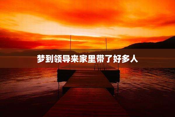 梦到领导来家里带了好多人