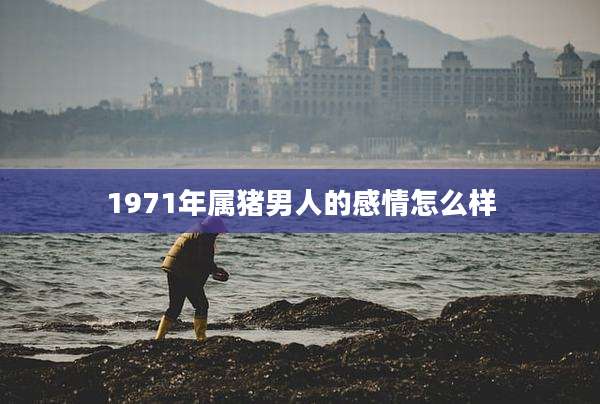 1971年属猪男人的感情怎么样