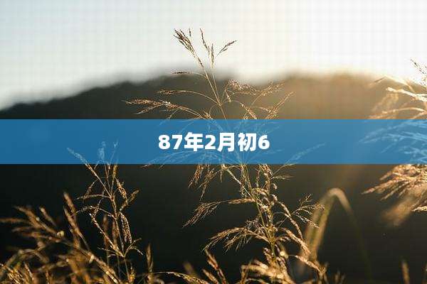 87年2月初6