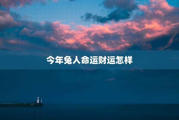今年兔人命运财运怎样