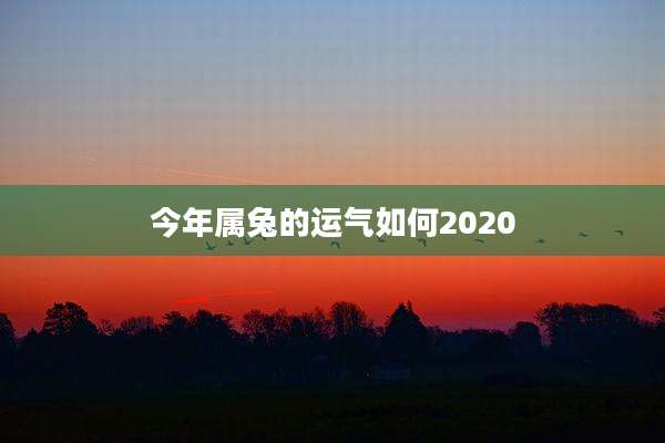 今年属兔的运气如何2020