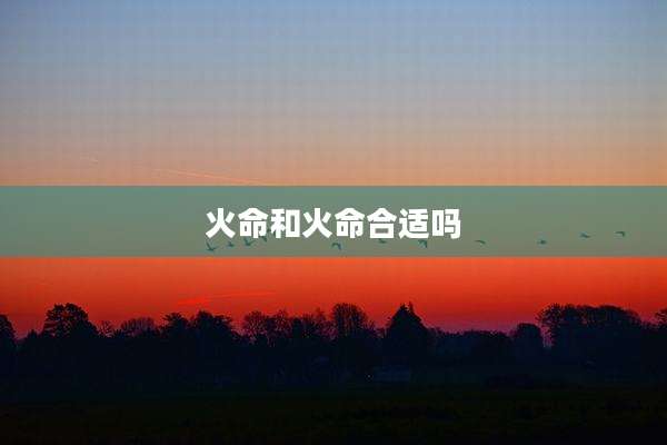 火命和火命合适吗