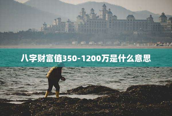 八字财富值350-1200万是什么意思
