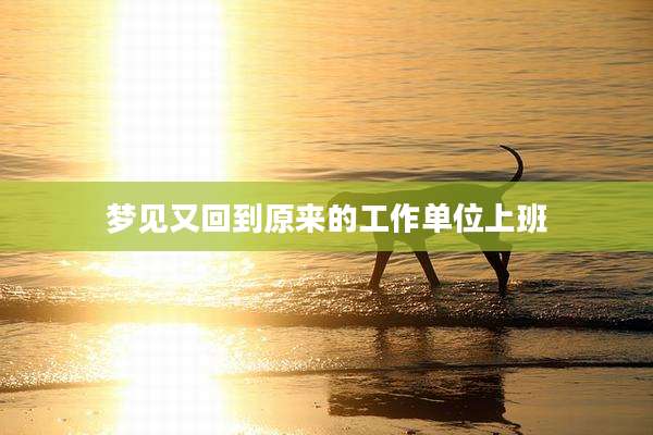 梦见又回到原来的工作单位上班