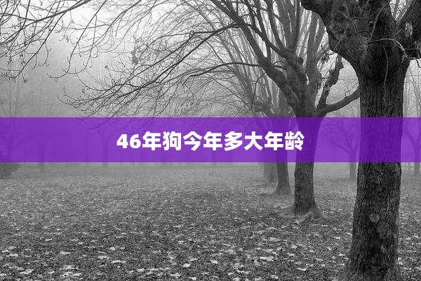 46年狗今年多大年龄