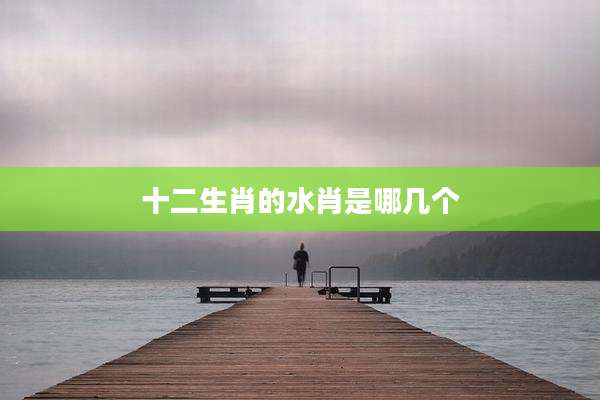十二生肖的水肖是哪几个