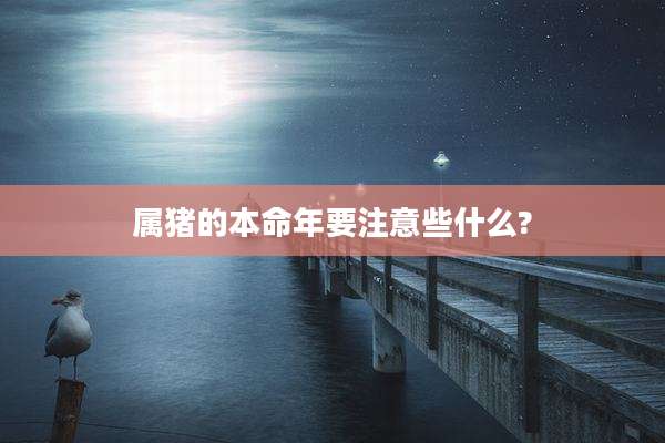 属猪的本命年要注意些什么?