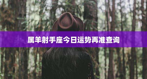 属羊射手座今日运势再准查询